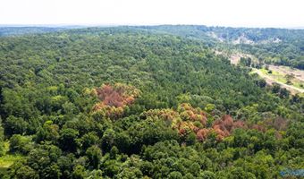 62 Beautiful Ac Toney Dr, Altoona, AL 35952