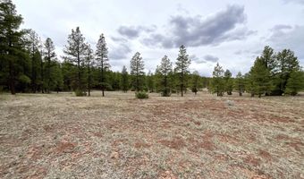 99 Big Notch Forest Trl, Bluewater, NM 87005