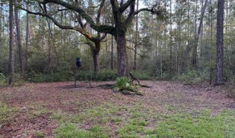 Lower Bay Road, Bay St. Louis, MS 39520
