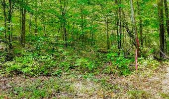 Bolestown Loop Lot 2, Alpine, TN 38543