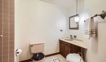 907 E Crabtree Dr, Arlington Heights, IL 60004