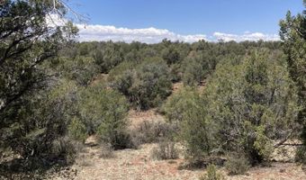 00 Off Of Rainy Rd 64, Ash Fork, AZ 86320
