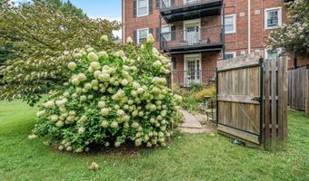 3050 S BUCHANAN St S A2, Arlington, VA 22206