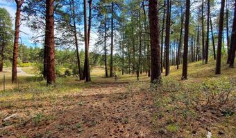 282 Pine Ln, Bayfield, CO 81122