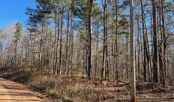 CREEK ROAD lot 0, Ashland, AL 36251