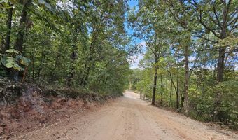 Tract 3 Coble Lane, Anderson, MO 64831