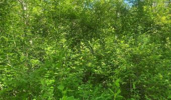 Townline Road, Angelica, NY 14709