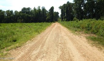 590 County Road 247, Bruce, MS 38915