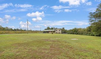 2350 Martling Gap Rd, Albertville, AL 35951