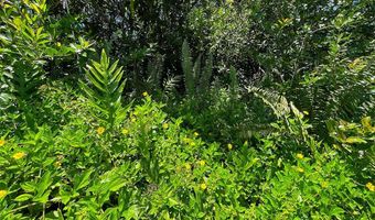 BEACH RD, Keaau, HI 96749