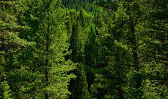 9380 E Kessler View Ln, Brighton, UT 84121