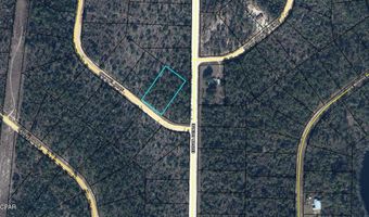 Channel Drive, Alford, FL 32420