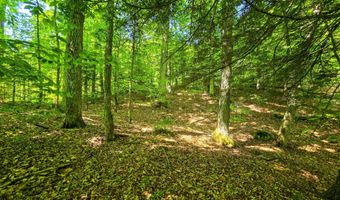 1905 Camp Munn Rd, Bradford, VT 05033