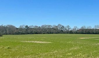 0 Tervin Mill Rd, Andalusia, AL 36421