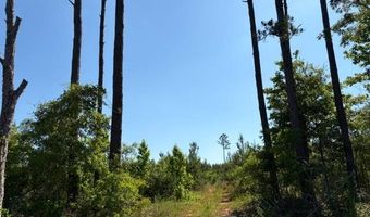004 Rose Hill Rd 004, Andalusia, AL 36028