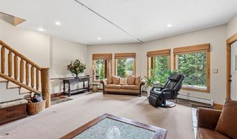 229 Lee Ln, Breckenridge, CO 80424