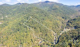 10 Dodd Rd, Barnardsville, NC 28709