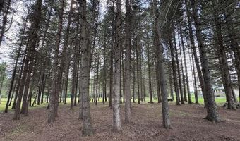 2220 M-30, Alger, MI 48610