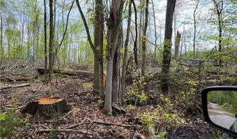 3705 ALEXANDER Rd, Randolph, OH 44201