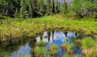 45161 Glenn Hwy, Chickaloon, AK 99674