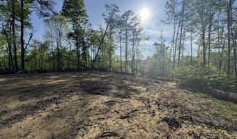 Tbd Green Springs Road, Abingdon, VA 24211