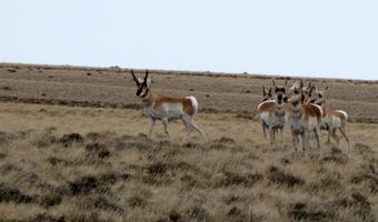 22 Broken Trl N 944-11, Belfry, MT 59008