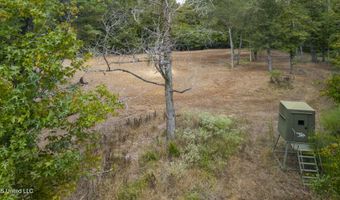 2233 Holloman Rd, Bentonia, MS 39040