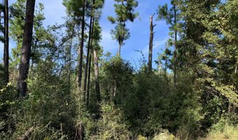 Drury Lane, Alford, FL 32420