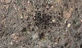 46625 N Jackrabbit Cir, Ash Fork, AZ 86320