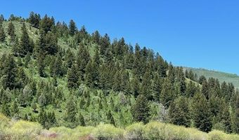 5002 FAIRVIEW SPG CRK Rd, Afton, WY 83110