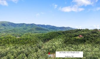 585 Valley View Heights Ln, Andrews, NC 28901