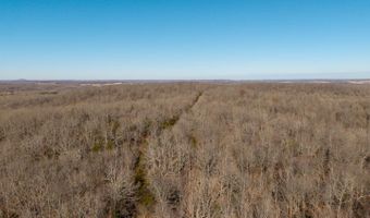 Tuska Drive, Ash Flat, AR 72513