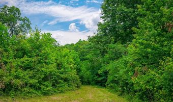 15 Acres Willow Grove Hwy, Allons, TN 38541