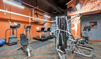 1225 MARTHA CUSTIS Dr 717, Alexandria, VA 22302