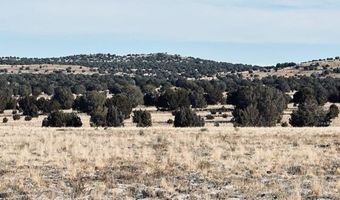 98- C Ten Tanks Rd, Ash Fork, AZ 86320