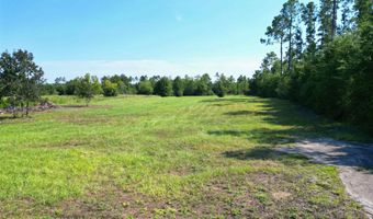 NW County Road 274, Altha, FL 32421