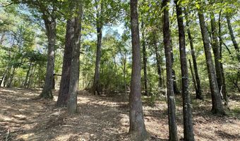 3 Champion Hill Rd, Bolton, MS 39041