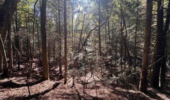 18 6 Acres Cave Branch Rd, Allardt, TN 38504