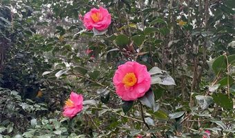 24415 NW 90TH Pl, Alachua, FL 32615