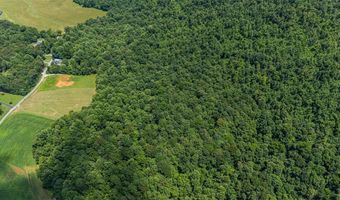 0 McKinley Guffey, Albany, KY 42602