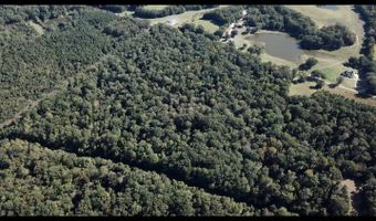 1 8 Miles Due South Down Anding Oil City Rd, Bentonia, MS 39040