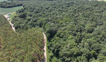 Highway 112, Abbeville, GA 31001