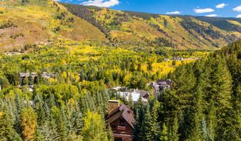 970 Powder Ln, Aspen, CO 81611
