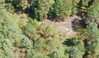 0 CR 320, Big Creek, MS 38914