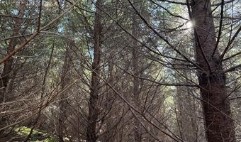 Steer Creek Rd, Blodgett, OR 97326