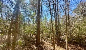 0 Tervin Mill Rd, Andalusia, AL 36421