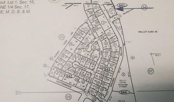 386 Golden Willow Dr, Carson City, NV 89415