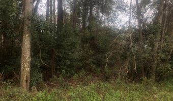 192 Sawyer Ln, Apalachicola, FL 32320