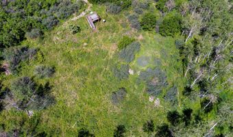 Trentaz Drive, Aspen, CO 81611