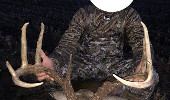 Bolivar Road, Benoit, MS 38725